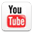 YouTube icon